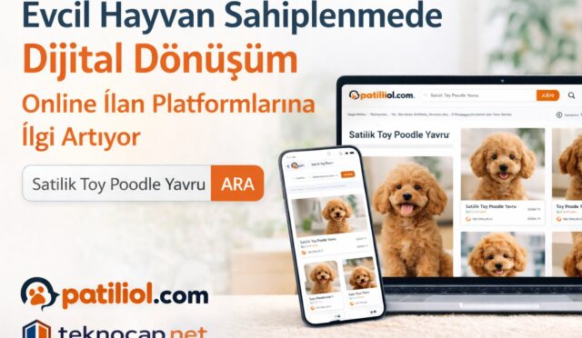 Evcil Hayvan Sahiplenme