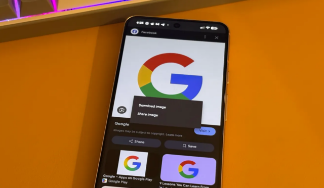 Google Görsel Arama